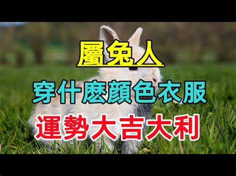 屬兔適合顏色|兔年必穿顏色指南